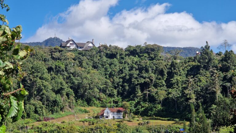 Best Trails, Tea Fields & My Honest Tips