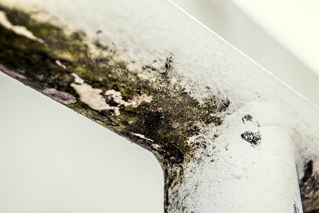 The Complete Guide To Household Problems That Impact Wellness